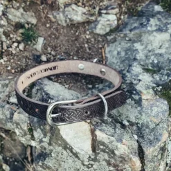 Leonardo Carbone Collier De Chien Celtique, Brun