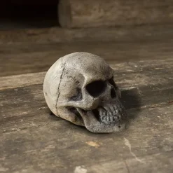 Epic Armoury Crâne De GN 4 Epic Armoury Crâne De GN -Promos Halloween Boutique crane de gn 1