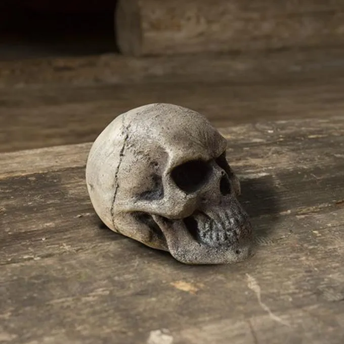 Epic Armoury Crâne De GN 2 Epic Armoury Crâne De GN – Image 2