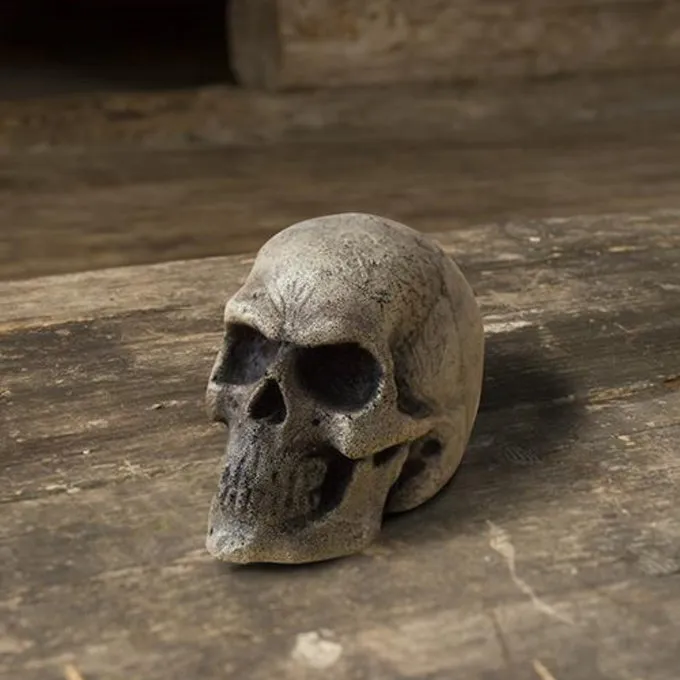 Epic Armoury Crâne De GN 1 Epic Armoury Crâne De GN