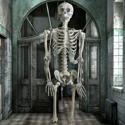 Epic Armoury Squelette Complet -Promos Halloween Boutique squelette complet 2